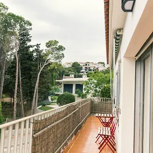 Falco Llançà